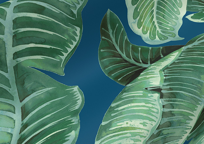 Nicobar, Monsoon - Roller Blind - Image 4